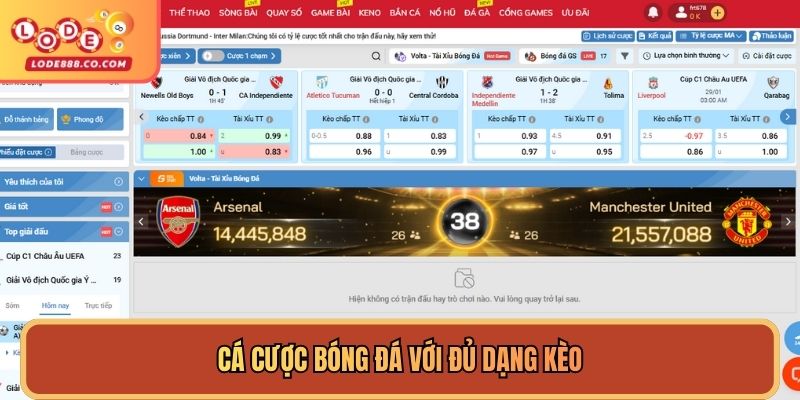 Đặt cược vào trận túc cầu để kiếm tiền tỷ