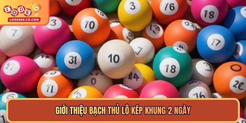 Giới thiệu bạch thủ lô kép khung 2 ngày