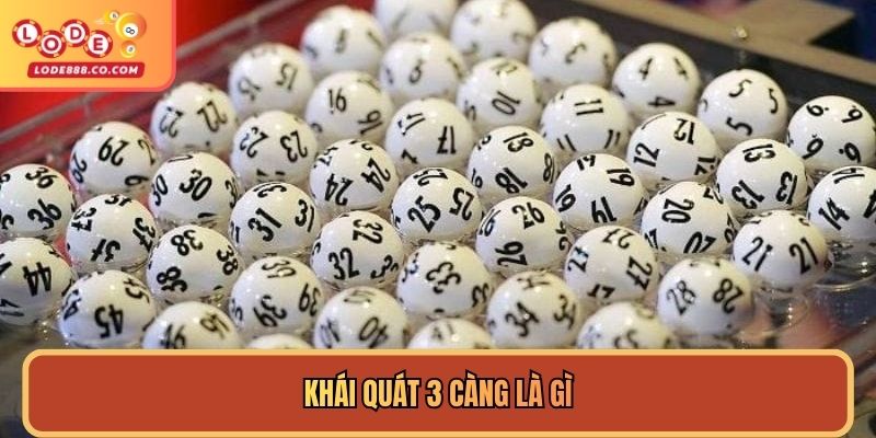 Khái quát 3 càng là gì