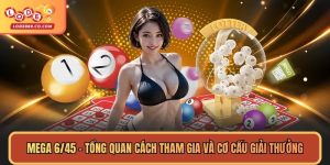 Mega 6/45