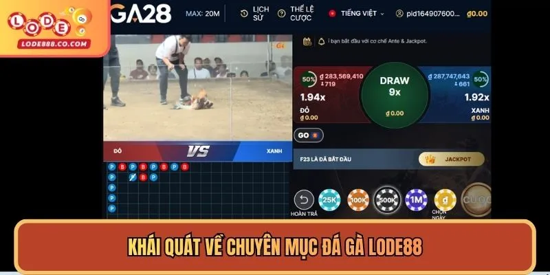 Sảnh đá gà Lode88 chuyên nghiệp